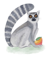 Watercolor hand-drawn illustration of ring-tailed lemur with tropical fruit, isolated on white. Cute Madagascar animal clipart for eco-friendly design, educational materials, kids projects, posters. © DarkberryStudio