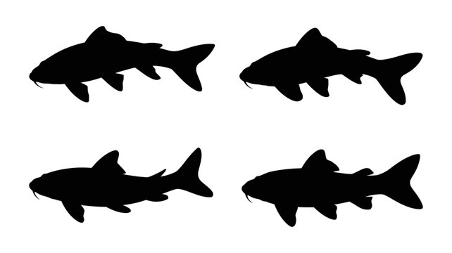 A collection of four black silhouettes depicting various types of fish