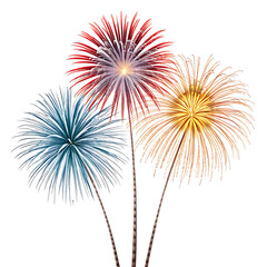 Fototapeta premium Elegant colorfull fireworks bouquet isolated on a white background. PNG