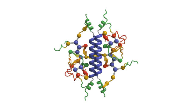 Complex protein molecule structure with a central blue alpha-helix surrounded by colorful amino acid chains shown in a detailed ball-and-stick and ribbon representation
