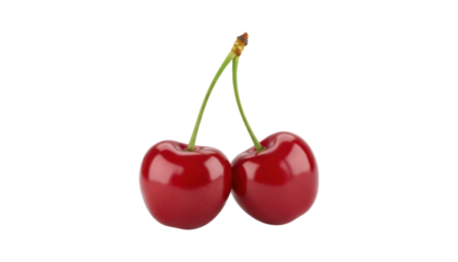 Two fresh ripe red cherries with stems are joined together in a pair, showcasing their glossy skin and vibrant, juicy appearance in a detailed presentation