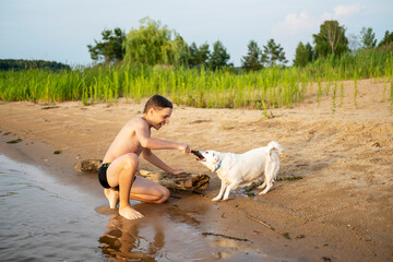 Boy and Dog Playing Tug of War on a Sandy Beach