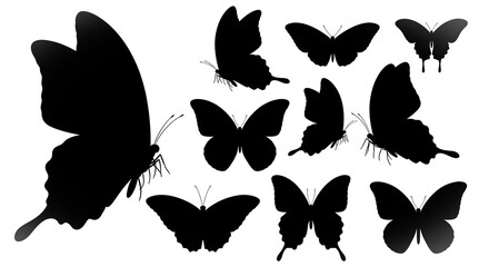 Naklejka premium Collection of Silhouettes of Various Butterfly Species