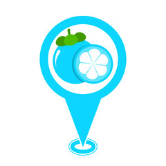 blue cute mangosteen location pin icon