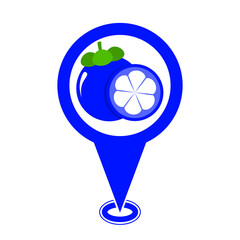 blue cute mangosteen location pin icon