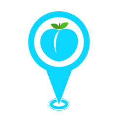 blue cute peach location pin icon