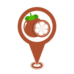 brown cute mangosteen location pin icon