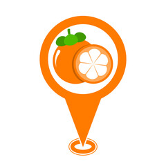 orange cute mangosteen location pin icon