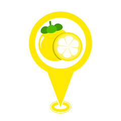 yellow cute mangosteen location pin icon