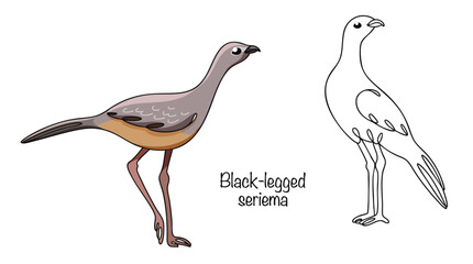 Black-legged seriema