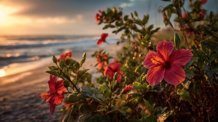 Red flowers grow by the sandy shore as the sun sets. Waves gently crash against the beach while the sky shows colors of orange and purple. The scene captures a moment in nature.