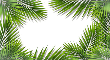 Obraz premium Vibrant green tropical palm leaves create a natural and inviting frame on a pure white background, ideal for summer designs or eco-friendly promotions