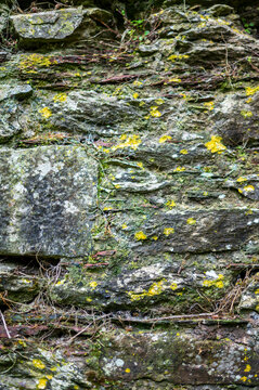 Green and yellow lichen growing on an ancient stone wall