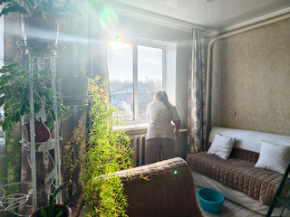 A woman goes about her housework, carefully cleaning a large window in a cozy living room, illuminated by bright natural sunlight streaming through the clean glass. The woman is cleaning the window.
