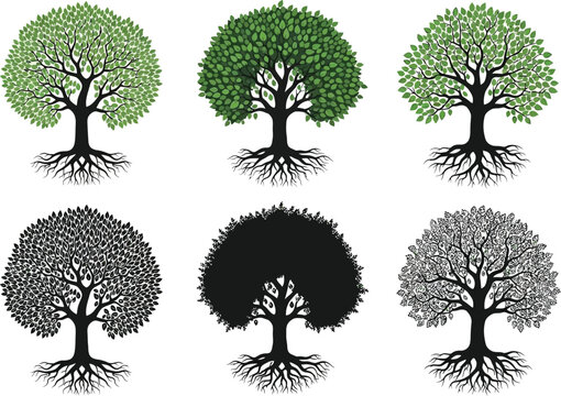 Collection of six stylized trees with prominent root systems