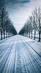 snowy road with leafless trees