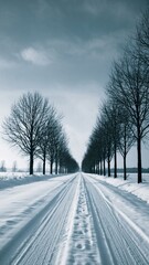 snowy road with leafless trees