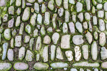 An ancient cobblestone walkway