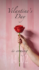 Valentine&rsquo;s Day Rose Poster With Announcement Text