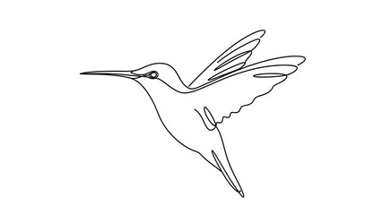 Fototapeta premium Minimal black and white hummingbird in flight isolated on a transparent background