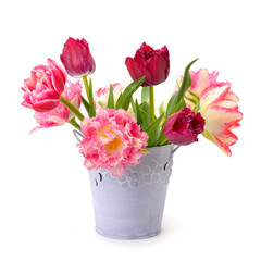 Pink and Red Tulips Bouquet in Decorative Metal Bucket Isolated on White Background with Copy Space Representing Spring Flowers, Floral Arrangement, Fresh Bloom, and Elegant Still Life