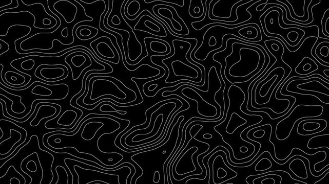 Topographic contour lines seamless loop animation with smooth morphing motion on black background. 4K animated abstract topographic lines for background looping, overlays, and video editing.
