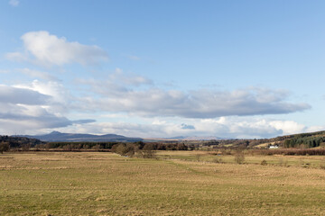 Obraz premium View over fields with sheep to distant Southern Highland mountains, seen from the John Muir Way and West Highland Way shared path near Dumgoyach, Strathblane valley, Central Scotland.
