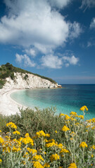Famous Padulella beach on Elba Island, Tuscany, Italy