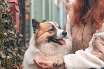 Woman hugging dog in the autumn park.