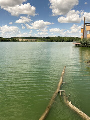 calm green lake Deseda with floating logs under cloudy sky