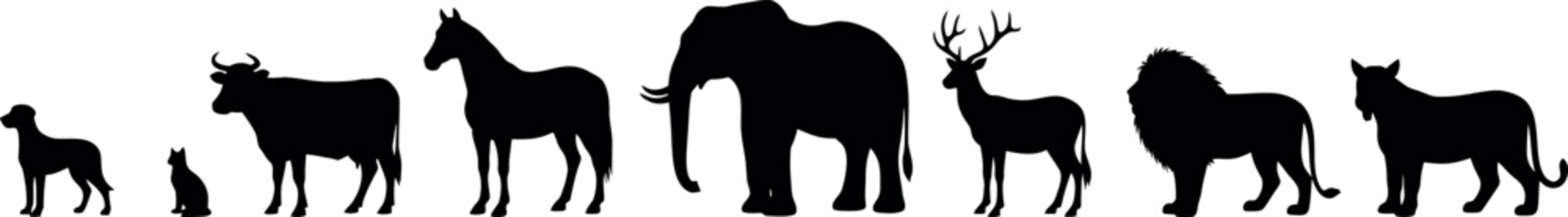 Silhouette of diverse animal group in black on white background silhouette