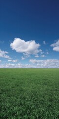 Obraz premium Expansive green field under clear blue sky with fluffy white clouds