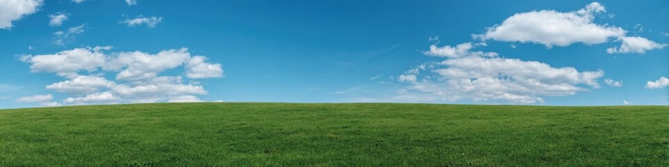 Fototapeta premium Vast green field under blue sky with white clouds on a sunny day