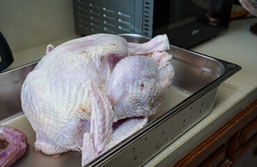 Raw whole turkey preparing for holiday roasting