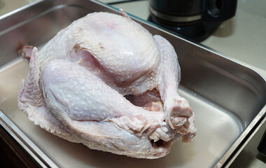 Raw whole turkey in metal roasting pan