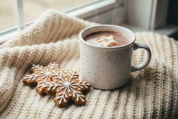 Mug of hot chocolate with cookies on a blanket and near the window.