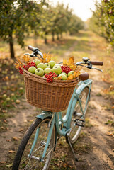 A blue bicycle with a basket on it carrying fruit including apples and grapes is on the road.