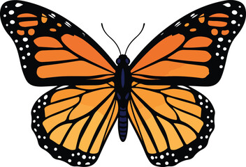 Fototapeta premium Vibrant monarch butterfly vector illustration with intricate orange and black wings, showcasing its iconic natural beauty and distinctive patterns.