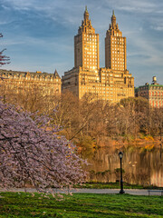 Central Park in spring