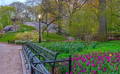 Central Park in spring