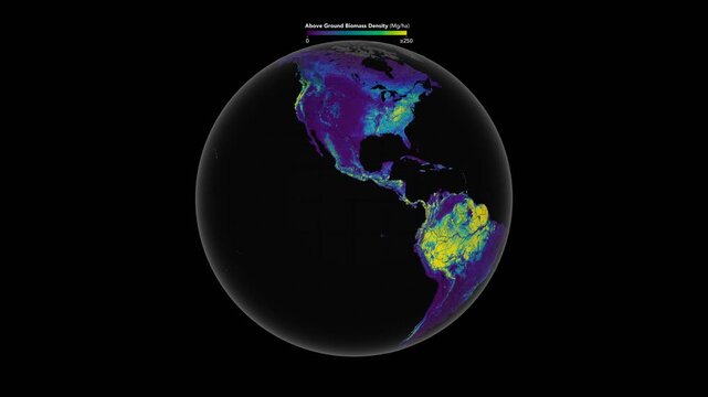 Graphic representation of biomass on the surface of the planet Earth. Elements of this image furnished by NASA