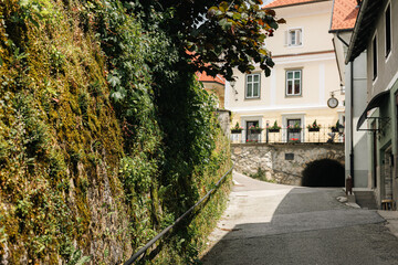 A cobblestone path winds upward beside a moss-covered stone wall draped in lush ivy. In the background, a sunny town square features a classic cream-colored building with a distinctive hanging clock.