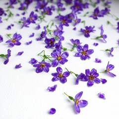 3D Purple Violet Paper Wall Art With Elegant Botanical Texture on White Background
