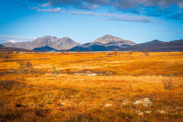 Wide autumn tundra landscape with mountains and birch forest