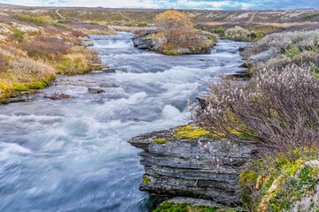 Mountain river flowing through autumn tundra landscape