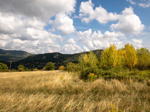 autumn trees and grass field in buda hills