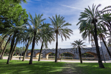 Tall palm trees frame the Puente del Mar, a historic stone bridge with pointed arches crossing a calm reflecting pool in Valencia's Turia Garden under a bright blue sky with faint jet trails.