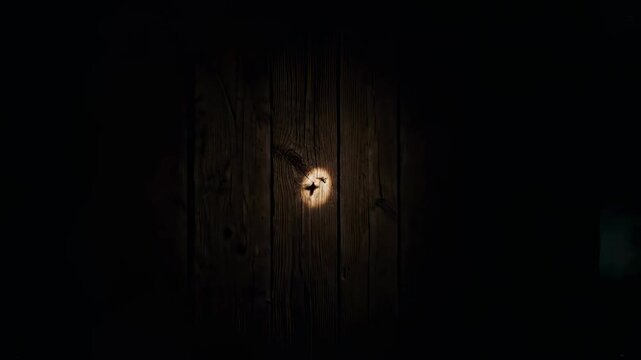 Insect buzzes against wooden wall creating shadow on surface. Dimly lit space with illuminated area highlighting the insect's details. Concept of nature, wildlife, entomology