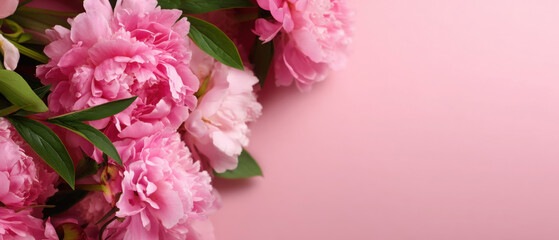 Beautiful pink peonies create a vintage and romantic floral background for wedding invitations or greeting cards.copy space, place for text. March 8, Mother's Day
