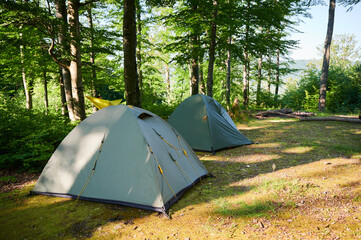 Several green tents in shaded forest campsite. Orange hammock strung between two trees, providing cozy relaxation spot. Campsite bathed in dappled sunlight, creating peaceful and inviting atmosphere
